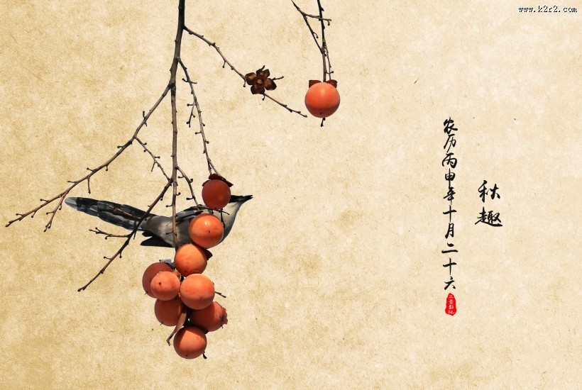 火红的柿子图片