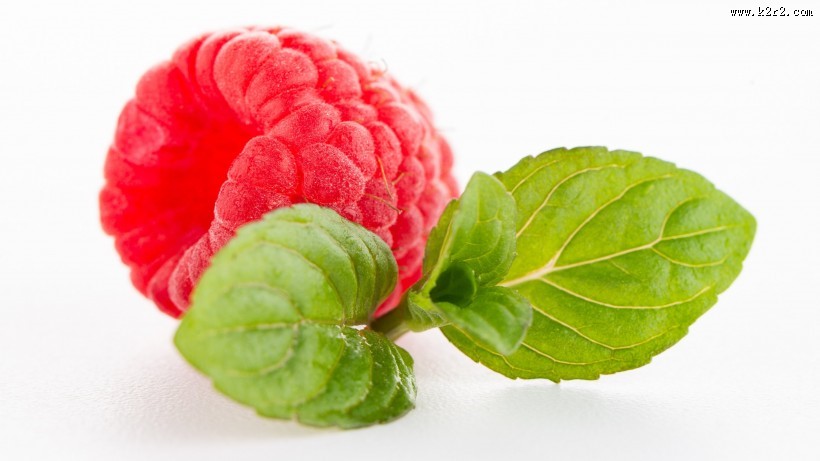 酸酸甜甜的树莓图片大全