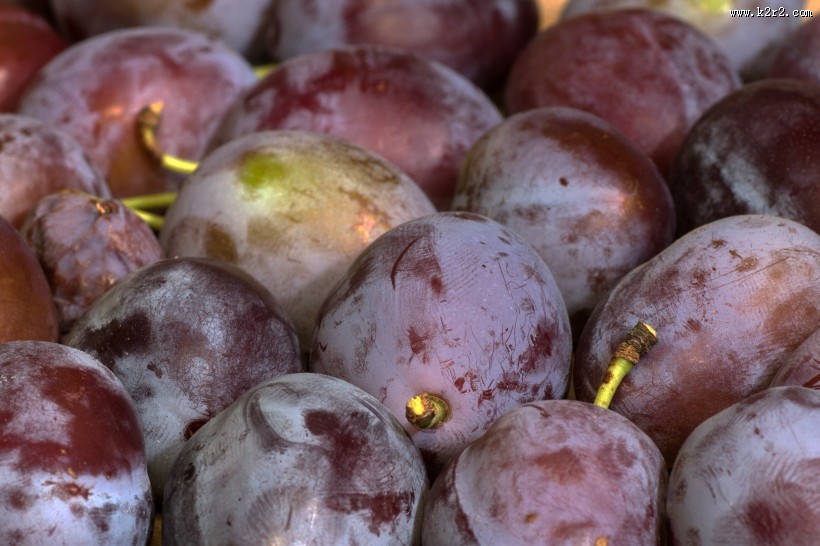 酸甜的李子图片