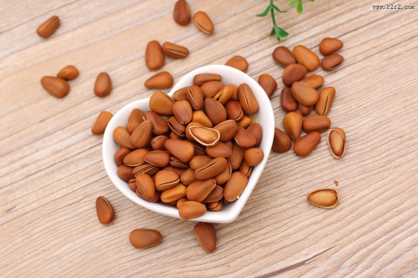 好吃的松子图片