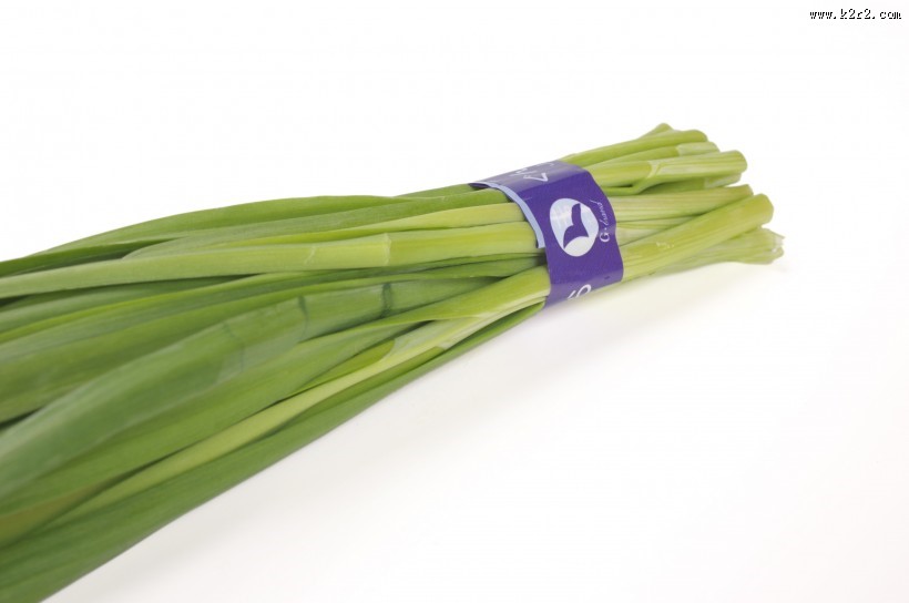 绿色新鲜的韭菜图片