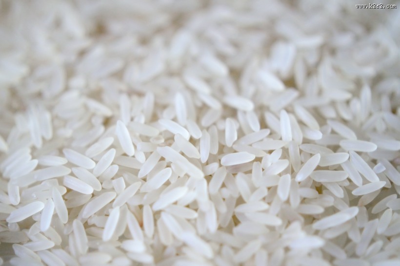 白色的大米图片