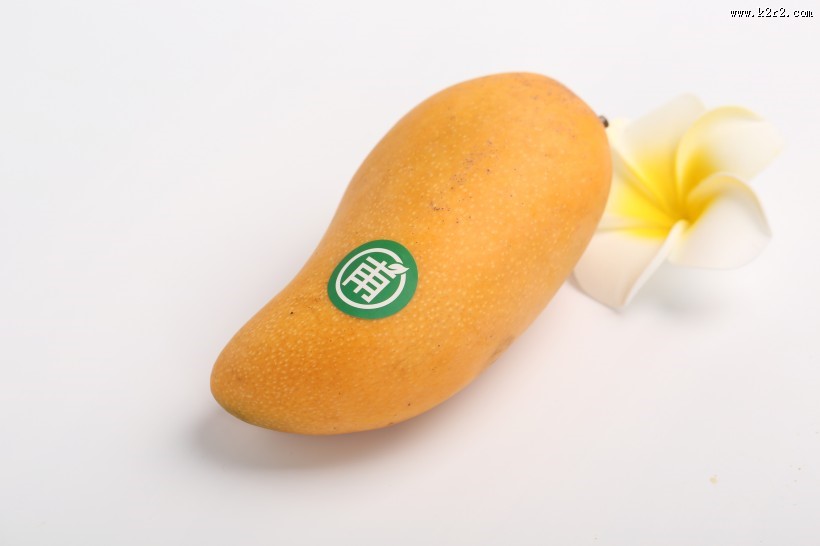 新鲜芒果摄影图片