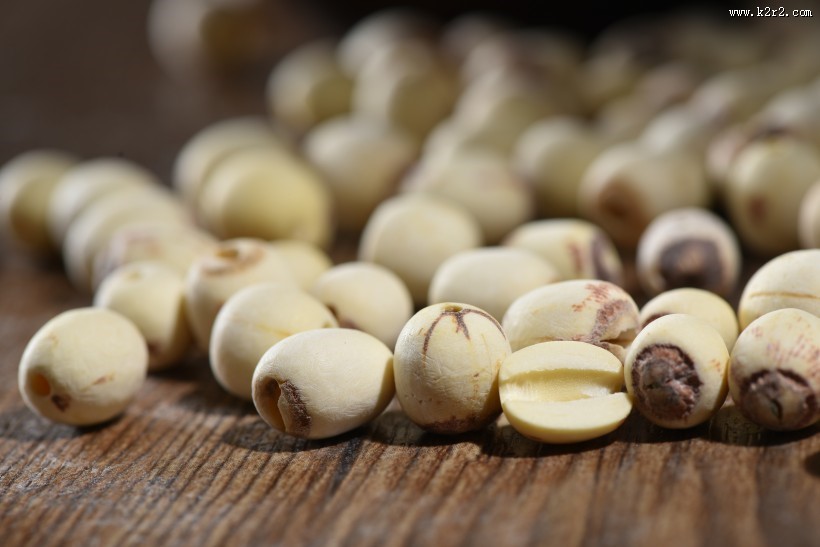 白色的莲子图片