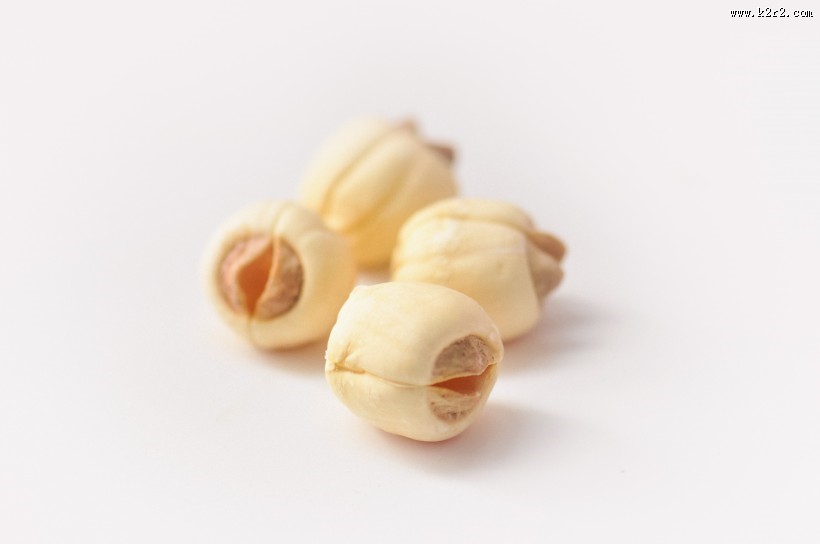 白色的莲子图片