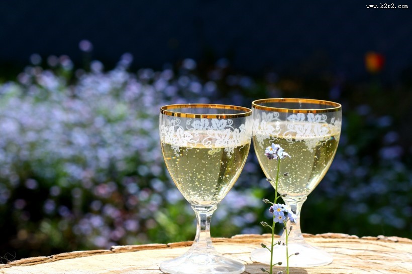 优雅的黄色香槟酒图片