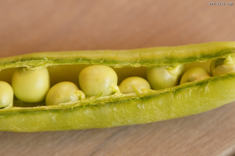 绿色的豌豆图片