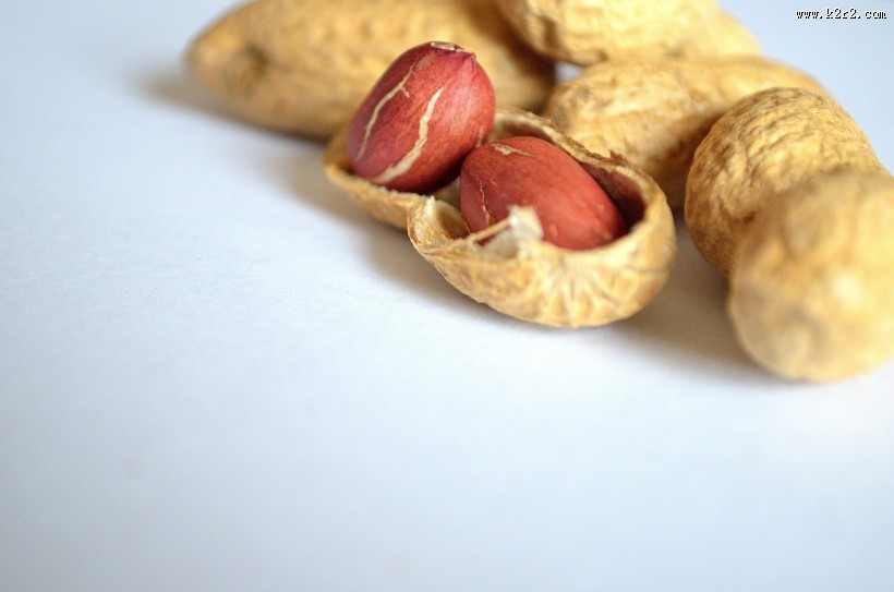 带壳的花生图片