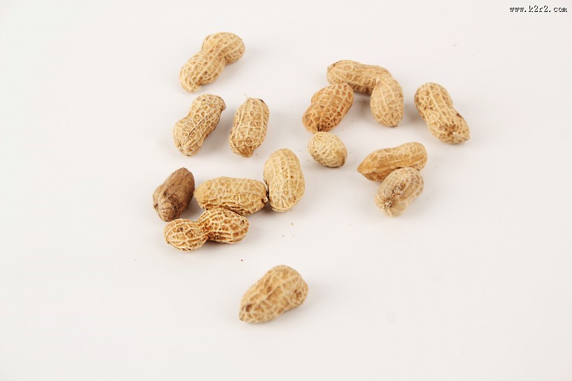 带壳的花生图片