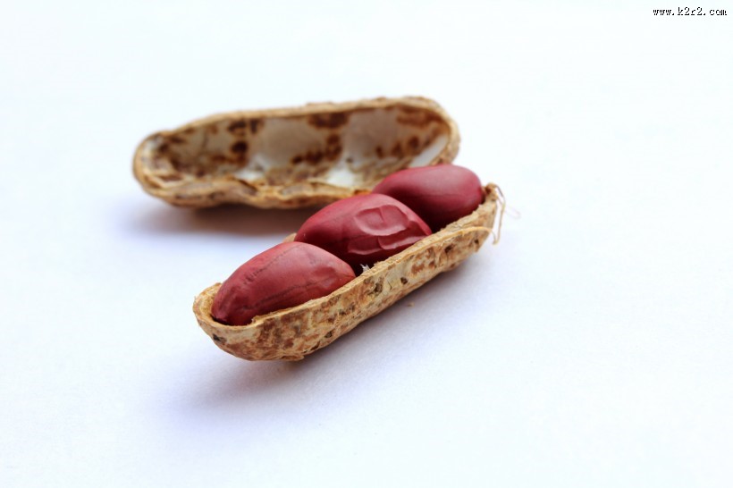 带壳的花生图片