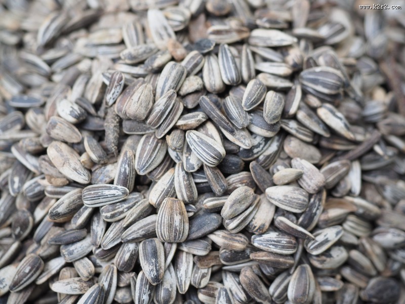 休闲零食瓜子图片