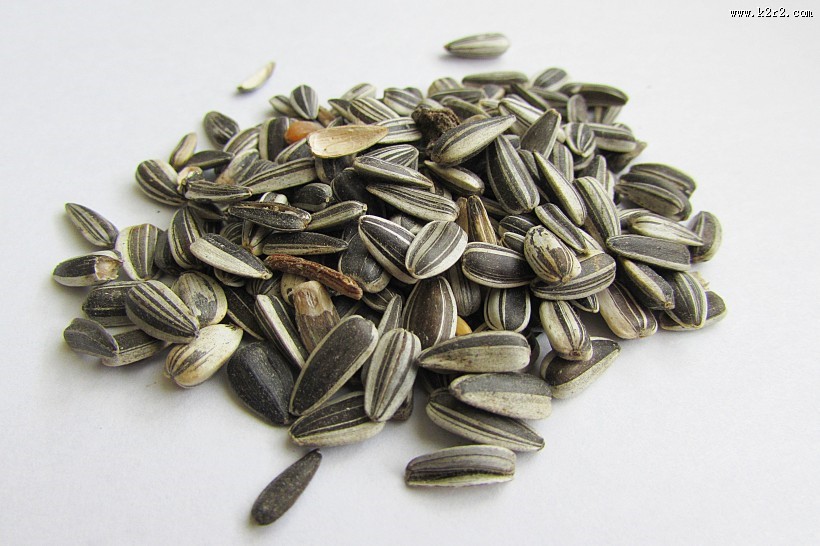 休闲零食瓜子图片