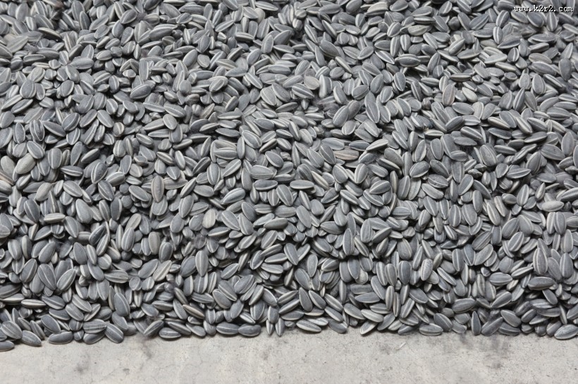 休闲零食瓜子图片