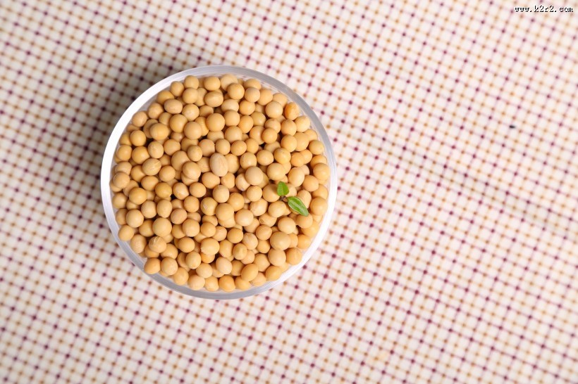 黄豆摄影图片