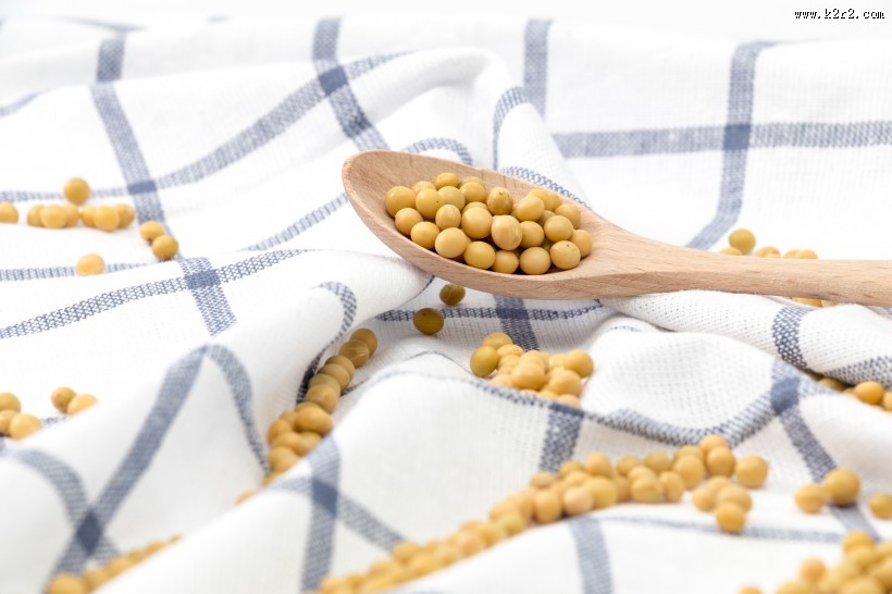 黄豆摄影图片