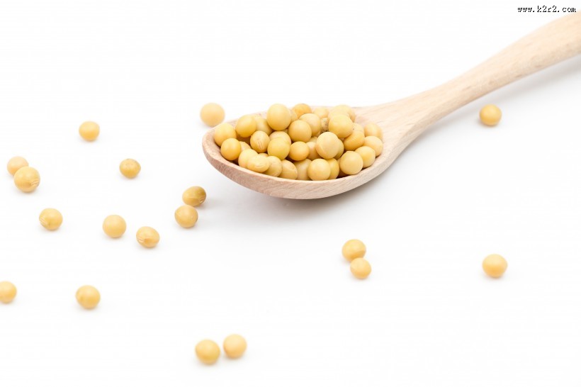 黄豆摄影图片
