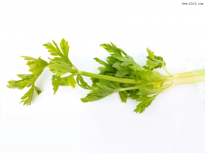 绿色的芹菜图片