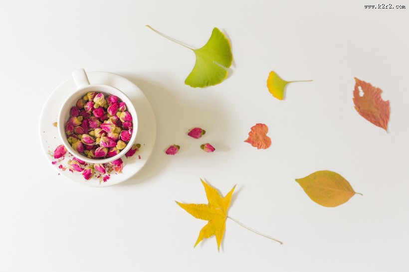 秋季养生花茶图片