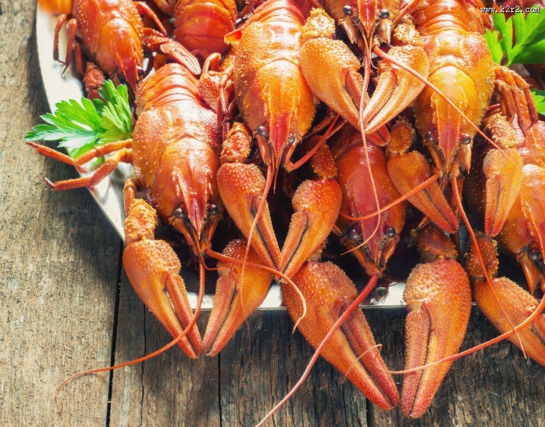 美味的龙虾图片大全