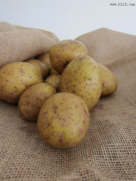 新鲜的土豆高清图片