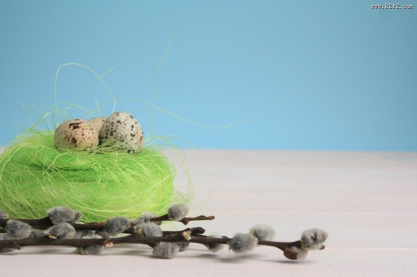 鹌鹑蛋图片