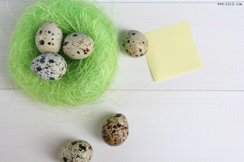 鹌鹑蛋图片