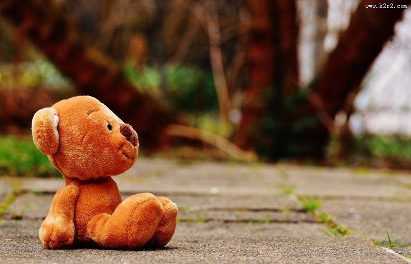 毛绒绒的玩具熊图片