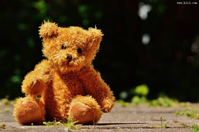 毛绒绒的玩具熊图片