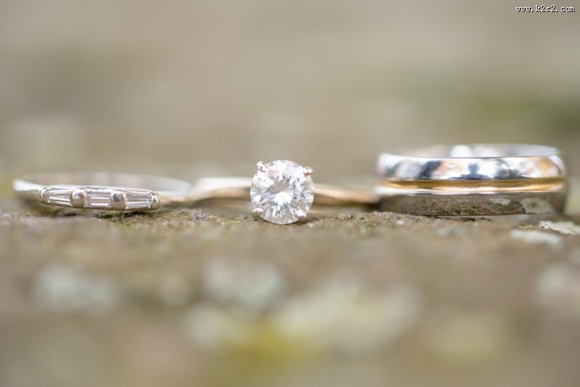 唯美的婚戒图片