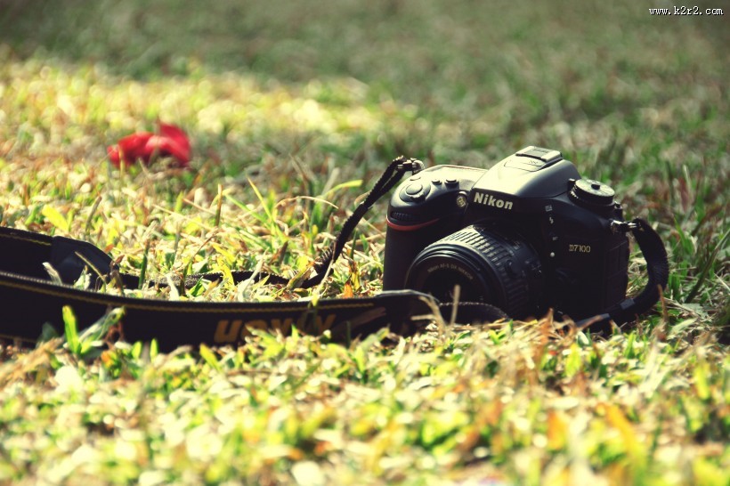 尼康的单反相机图片大全