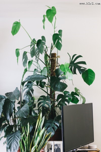 不同年代的电视机图片