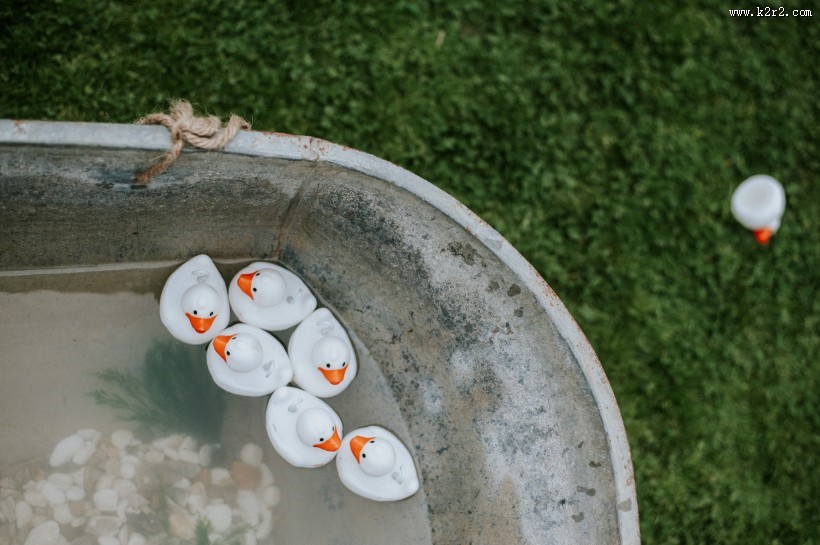 可爱的橡胶玩具鸭图片