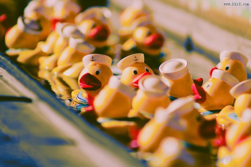 可爱的橡胶玩具鸭图片