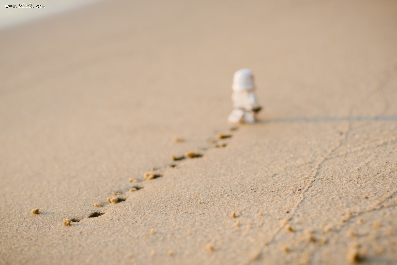 可爱的乐高玩具图片