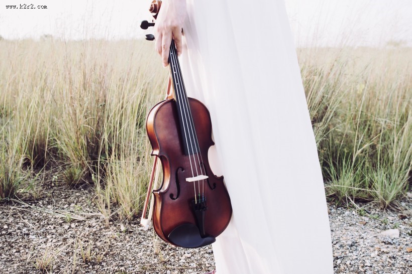 典雅的小提琴图片