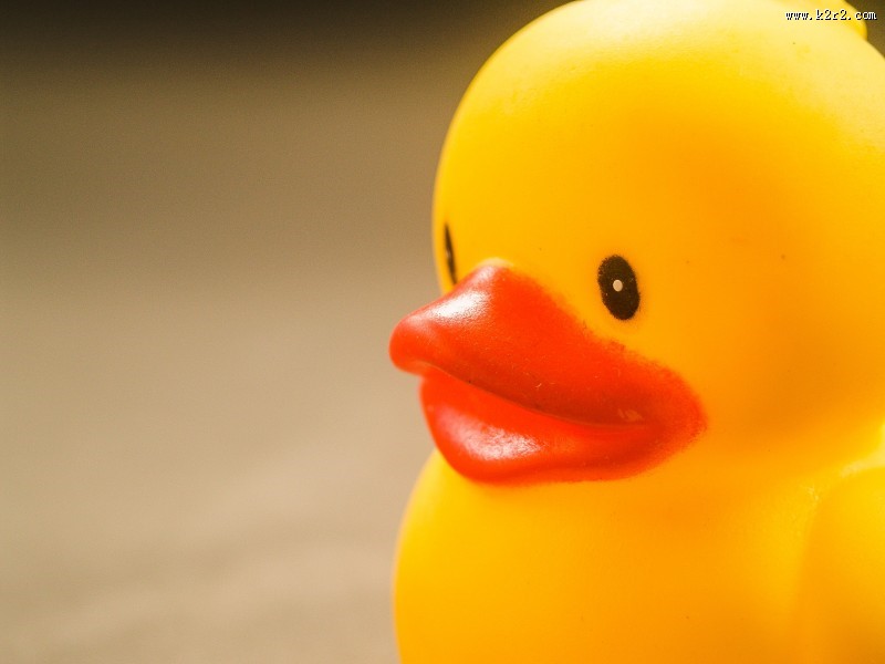 儿童浴室玩具图片大全