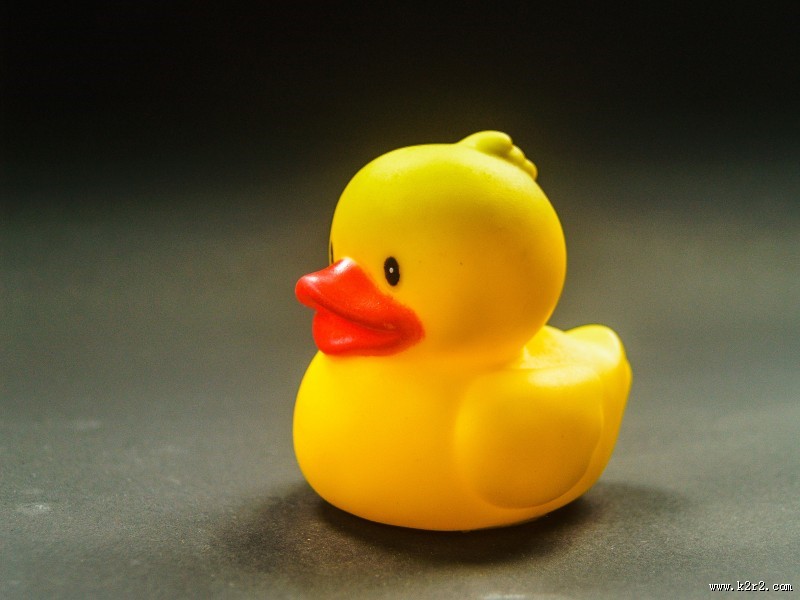 儿童浴室玩具图片大全