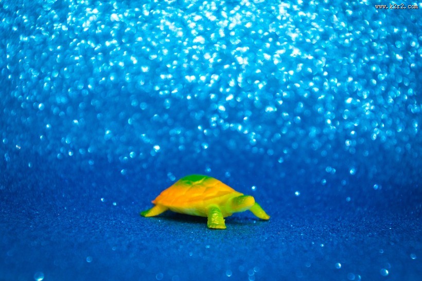 迷你乌龟玩具图片