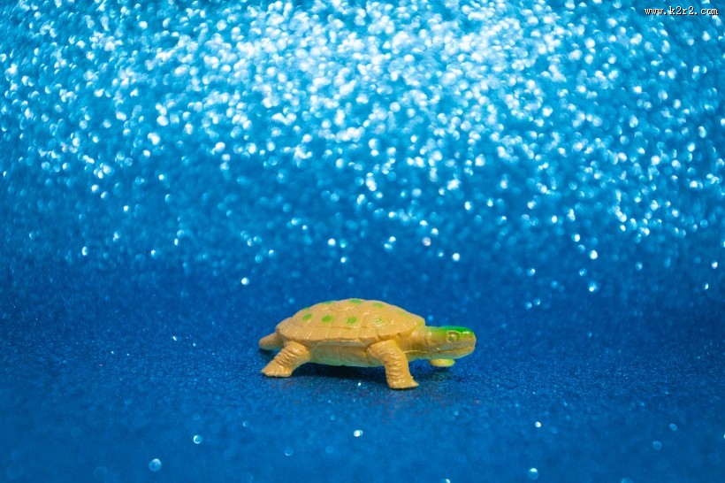 迷你乌龟玩具图片