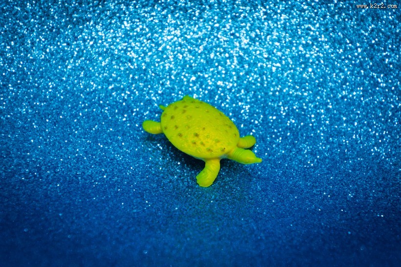 迷你乌龟玩具图片