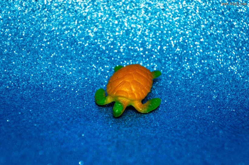 迷你乌龟玩具图片