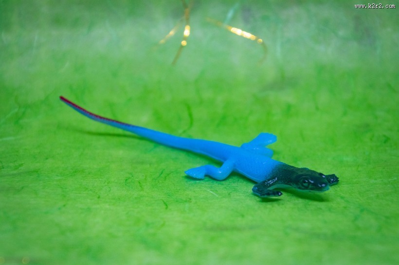 蜥蜴模型图片大全