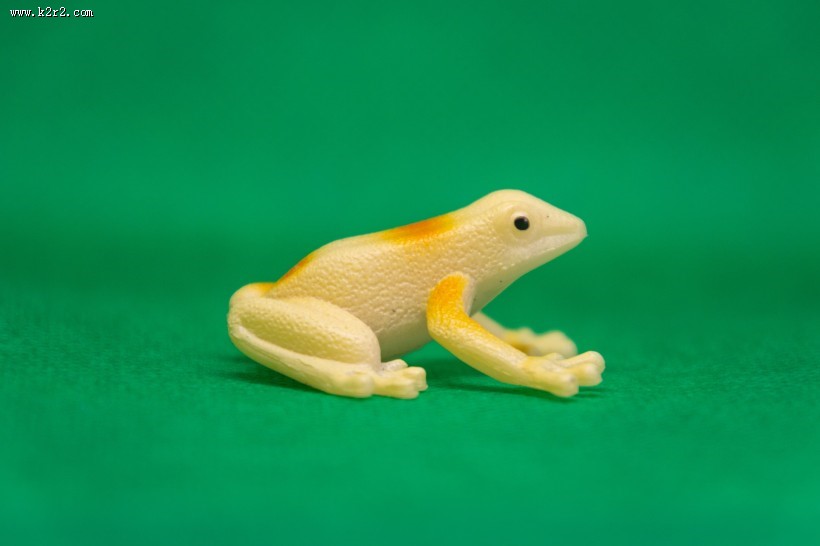迷你青蛙玩具图片