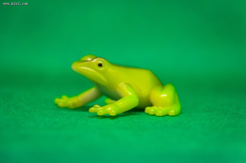 迷你青蛙玩具图片