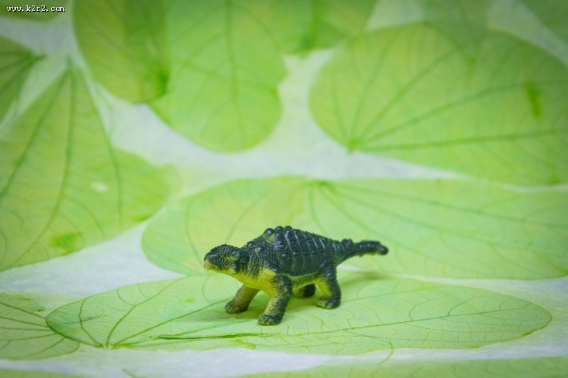 恐龙玩具模型图片