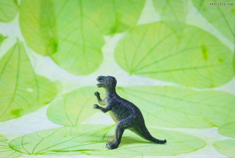 恐龙玩具模型图片