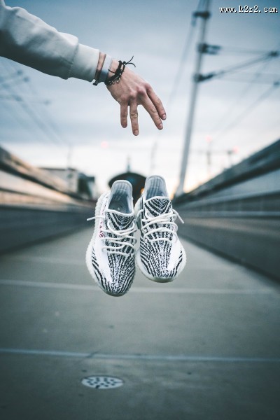 阿迪达斯椰子鞋的图片