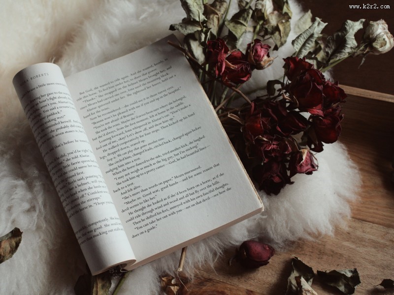 翻开的书籍的图片