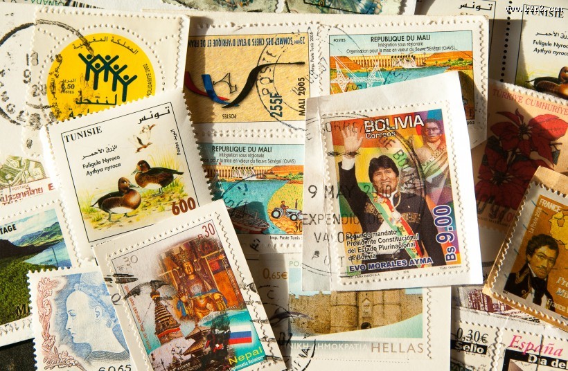 精美的邮票图片大全