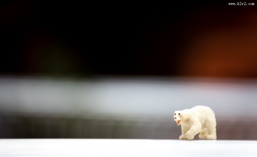 动物玩具的微距摄影图片大全